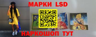 прущие грибы Комсомольск-на-Амуре