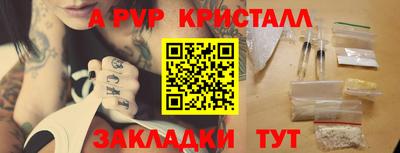 прущие крисы Кингисепп