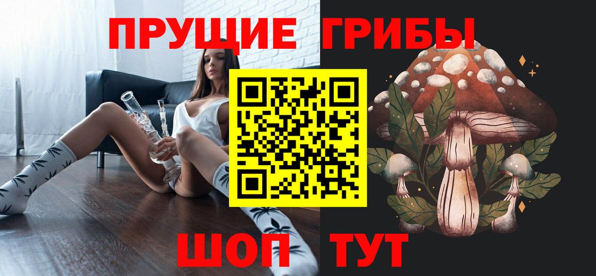 Куйбышев  Псилоцибиновые грибы Psilocybine cubensis  Вход с VPN 
